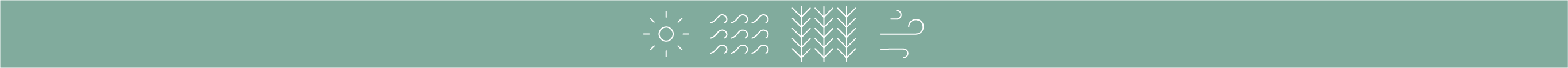 banner-elements-green.png